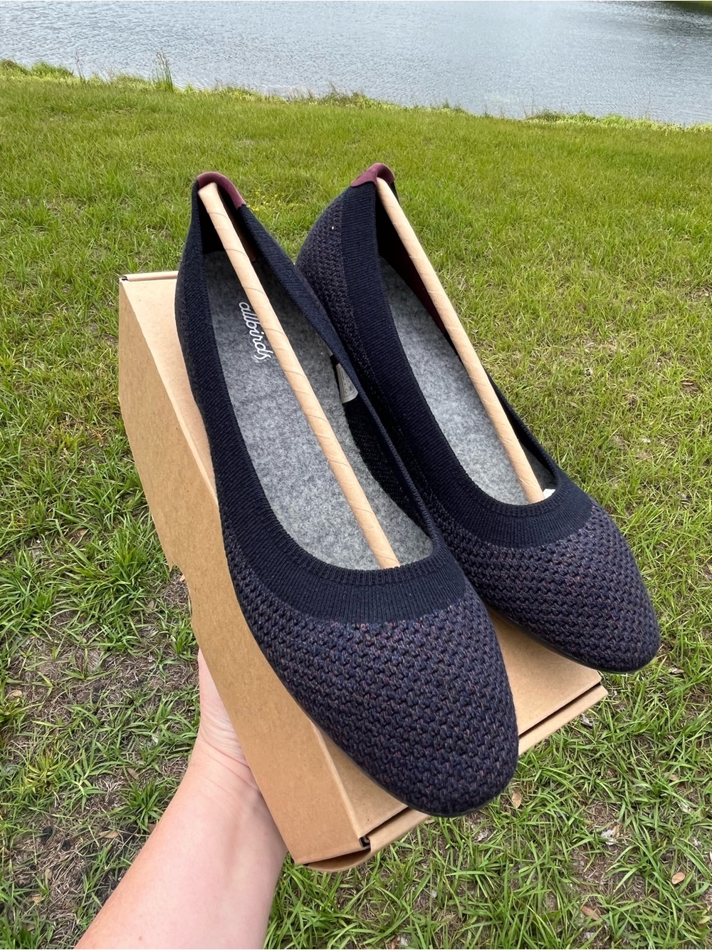 New In Box Allbirds Tree Breezer Olympus Gray with Purple Heel Detail Size 8.5